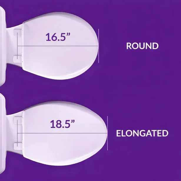 A round toilet bowl, 16.5 inches from the bolt holes to the front edge, and an elongated one, 18.5 inches