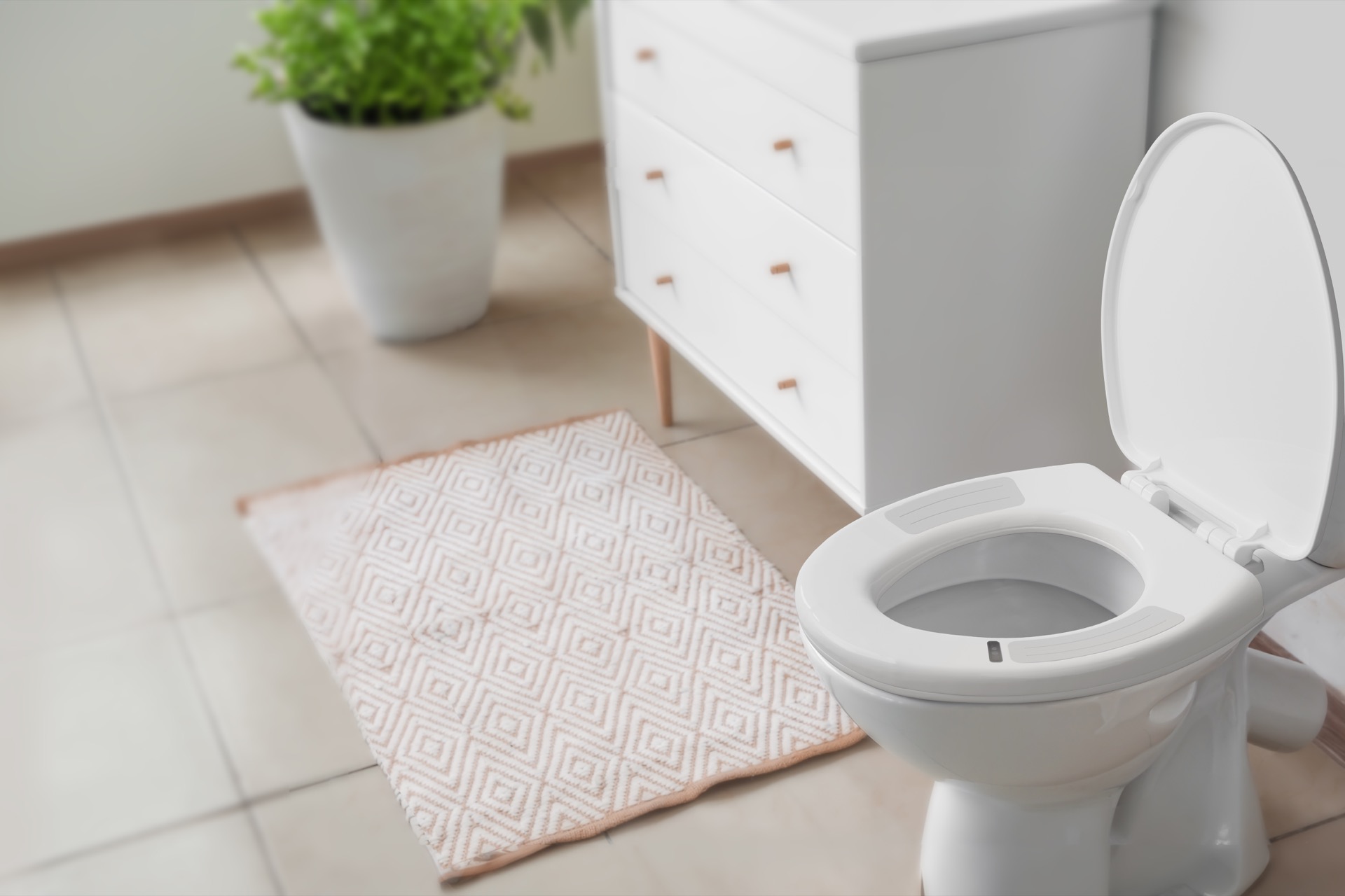 Casana Smart Seat in a modern bathroom