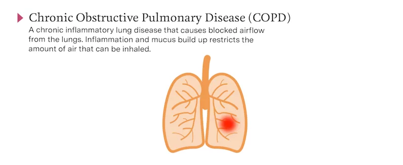 An infographic titled, "Types of Comorbidities". It lists Chronic Obstructive Pulmonary Disease (COPD).
