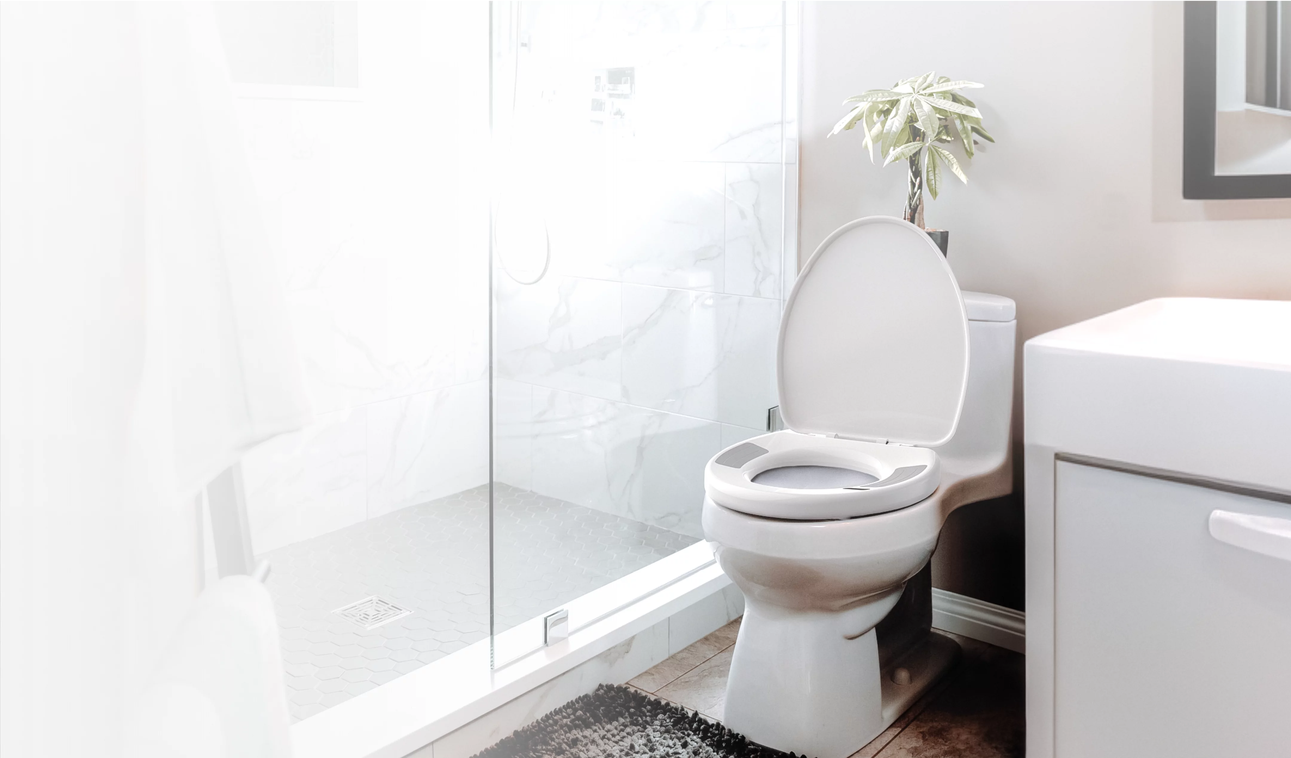 A bathroom showing the casana toilet seat installed